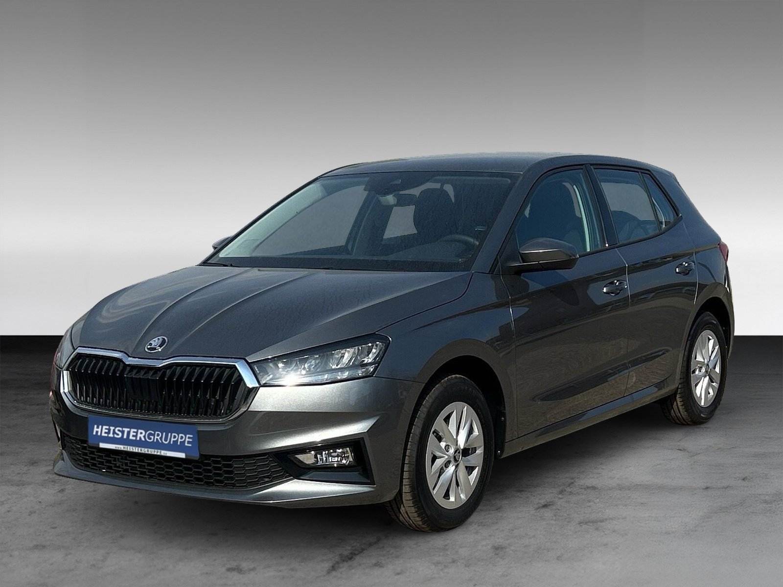 Skoda Fabia 1.0 TSI Selection OPF+ChromPaket+WinterPaket