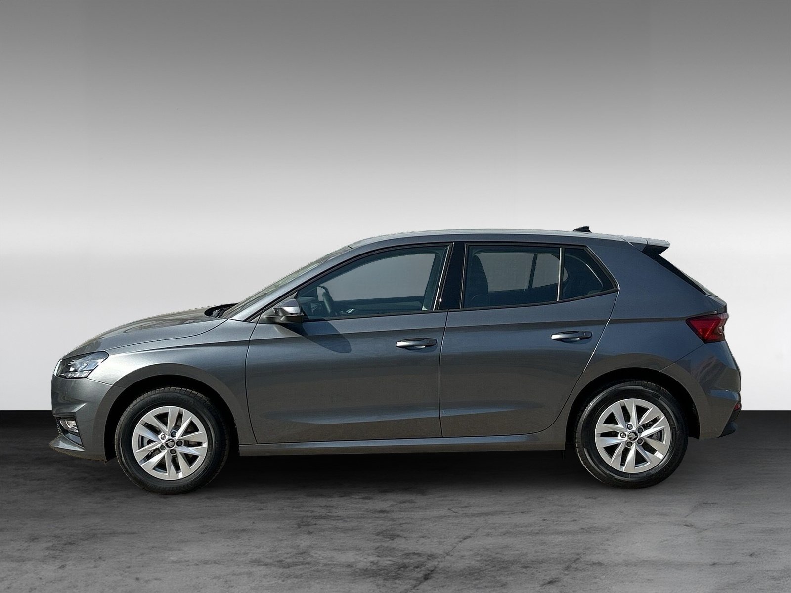 Skoda Fabia 1.0 TSI Selection OPF+ChromPaket+WinterPaket