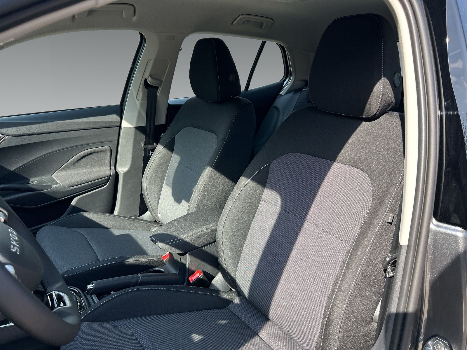 Skoda Fabia 1.0 TSI Selection OPF+ChromPaket+WinterPaket