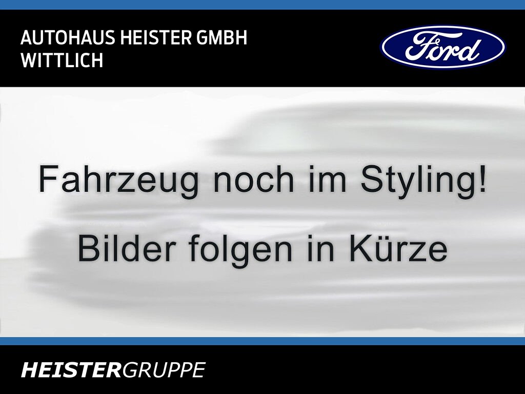 Ford Transit Custom Kastenwagen Trend 2.0l